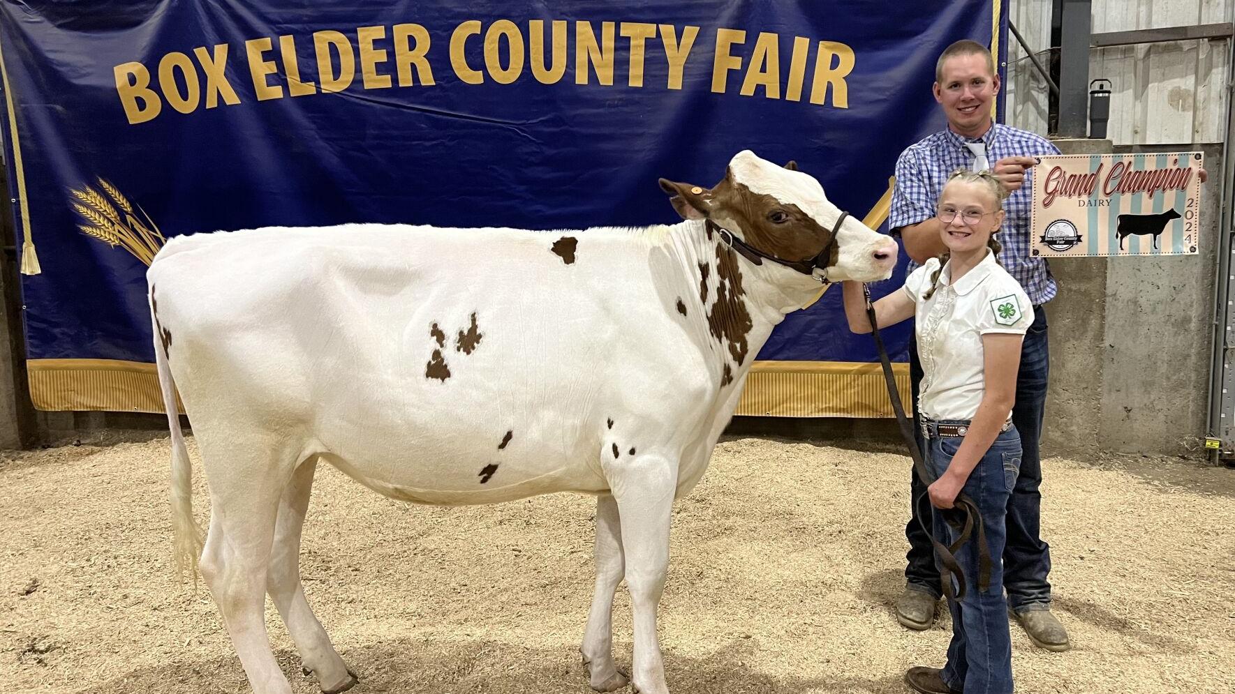 Box Elder Junior Livestock show: Dairy winners